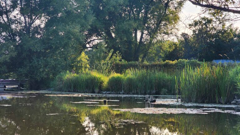 Holland River (Slides)