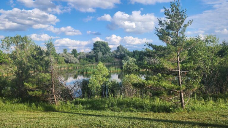 Near Mulock Dr. (Slides)