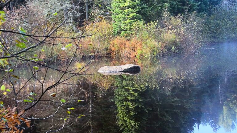Morning in Algonquin Park