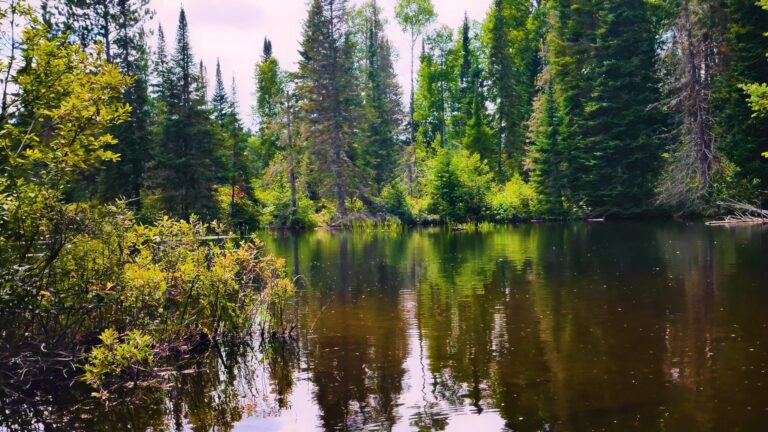 Opeongo River Boating