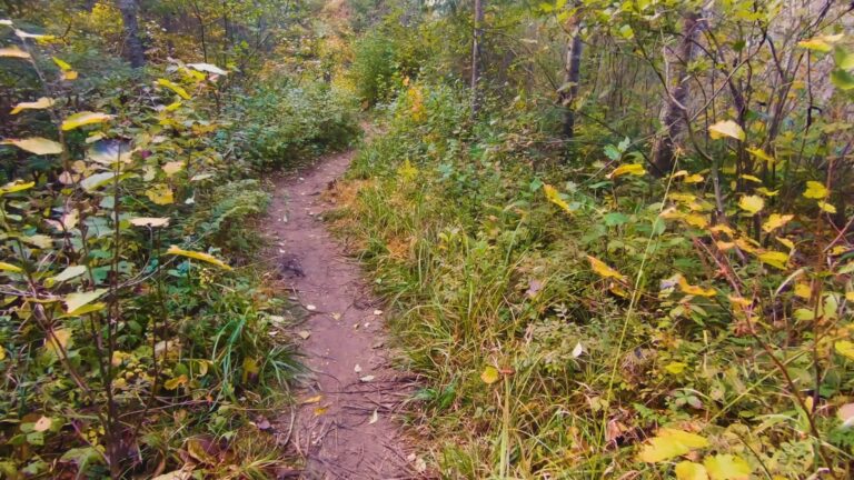 Way to Provoking Falls